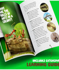 Open learning guide from Ant Farm Kit For Kids And Curious Learners Complete Colony Setup With Sand Habitat And Living Ants Voucher