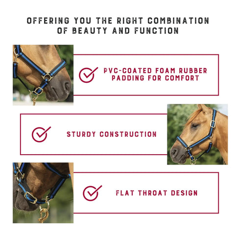 Nylon Horse Halter With Padded Comfort And Fully Adjustable Fit in use on horse highlighting soft PVC padding and brass plated hardware.
