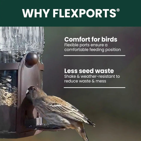 Squirrel Be Gone Max Bird Feeder With Four Flexport Feeding Stations showing flexport with bird feeding outdoors.