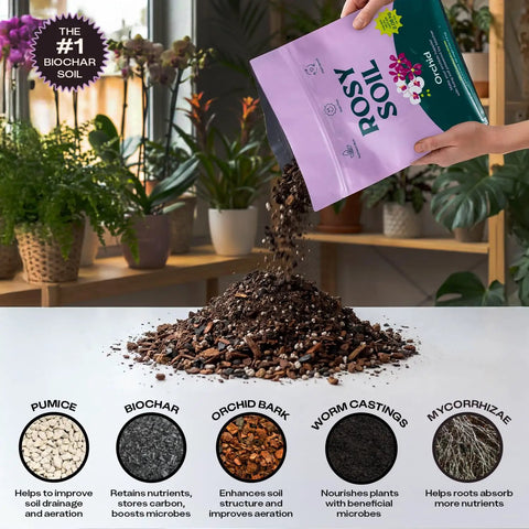 Orchid Potting Mix With Superior Aeration And Drainage For Thriving Orchids Peat Free Microbially Active Biochar Powered Soil For Orchid Plants Ideal For Indoor Gardening 4 Quarts being poured from bag.