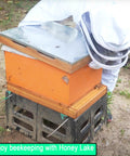 Beekeeper inspecting 10-frame hive with Screened Bottom Board For Beehives, 10 Frame With Entrance Reducer, on concrete blocks.