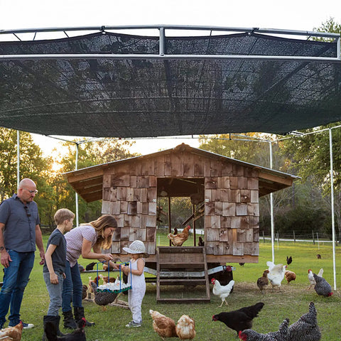 Heavy Duty Shade Cloth 70 To 90 Percent Sunblock Net covering chicken coop and surrounding area outdoors