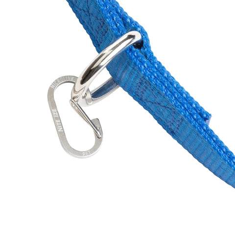 MicroLink Pet Tag Carabiner Clip Stainless Steel For Cats And Dogs Securely Attached to Blue Collar