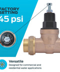 EB45 3/4 in single-union pressure regulator valve, brass body with black cap, 45 psi (Cash Acme)