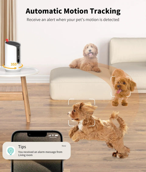Indoor Pet Camera With Treat Dispenser And Remote Toss 360 Degree View 5G And 2 4G WiFi tracking dogs on couch and floor.
