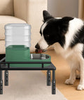 Built Tough Metal Elevated Pet Feeder Stand With Easy Adjust Height, dog drinking from water jug on sturdy base rack.