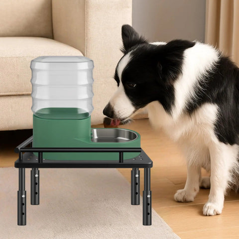 Built Tough Metal Elevated Pet Feeder Stand With Easy Adjust Height, dog drinking from water jug on sturdy base rack.