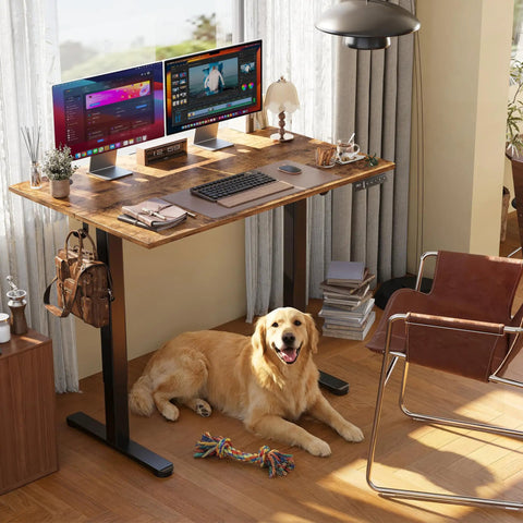 Claiks Electric Height Adjustable Standing Desk 40 By 24 Inches Rustic Brown with dual monitors and golden retriever beside it.