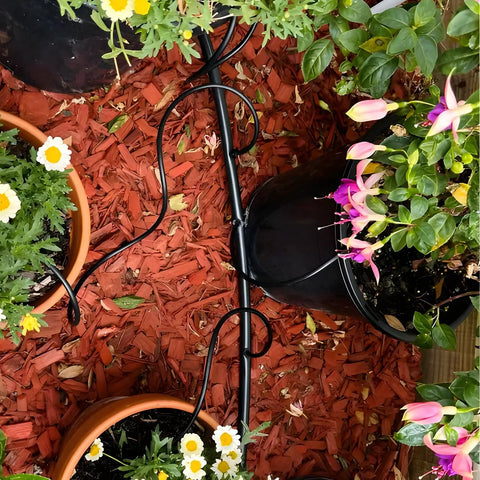 Heavy Duty Garden Drip Irrigation Hose For Greenhouse And Lawn, Flexible Black PVC One Quarter Inch Tubing in flowerbed