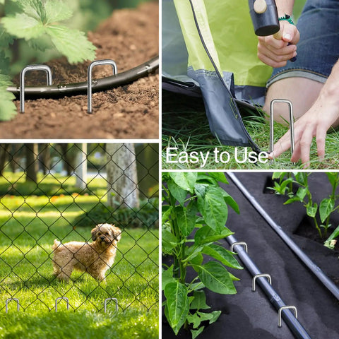 Heavy Duty 5 Inch Galvanized Landscape Staples Pack Of 80 For Weed Barrier Fabric Garden Stakes Yard Stakes Tent Pins And Irrigation Tubing 11 Gauge For Outdoor Projects in use for securing ground covering and irrigation.
