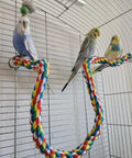 Totally Bendable Multicolor Cotton Bird Rope Perch Built Tough With A Steel Core And Quick Twist End Nuts For Straight Up Secure Cage Climbing Action in aviary with three budgies.