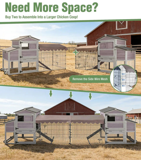 Two assembled Mobile Chicken Coop With Run Wheels And Waterproof Cover Removable Iron Tray Large Nesting Box Ventilated Sliding Window Extendable Outdoor Backyard Poultry Cage For Easy Move Rotation And Fresh Grazing units connected.