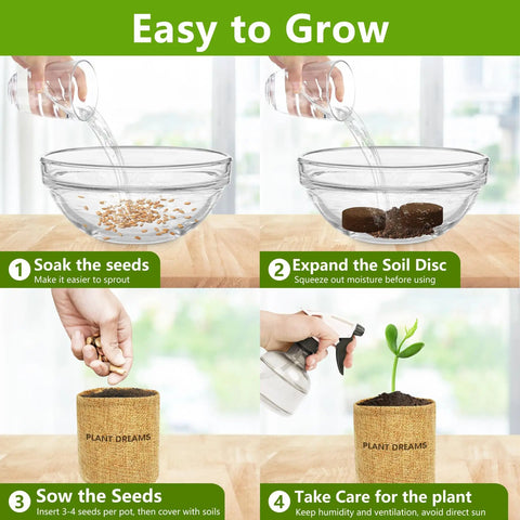 Beginner Friendly Bonsai Starter Kit for Indoor Spaces ✓