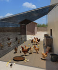 Seventy Percent Shade Cloth 10x20 Feet Shade Net Mesh Tarp With Grommets Black shielding a chicken coop outdoors by blocking sunlight.