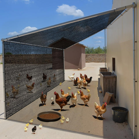 Seventy Percent Shade Cloth 10x20 Feet Shade Net Mesh Tarp With Grommets Black shielding a chicken coop outdoors by blocking sunlight.