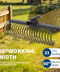 Tow Behind Landscape Rake 60 Inch Dethatcher With 21 Steel Coil Tines for Leaves Pine Needles and Grass on Lawn
