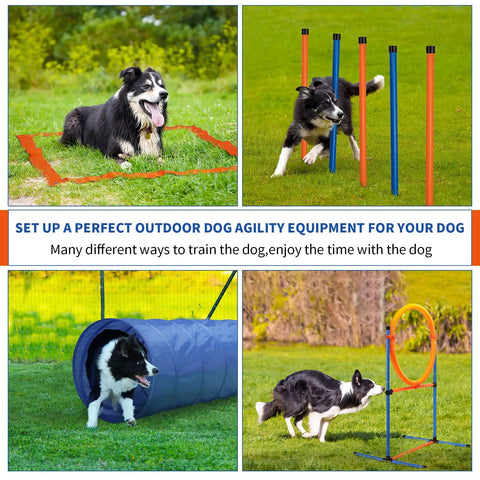 Dog using Go-To Dog Agility Training Equipment Kit, 60-Piece Obstacle Course Starter Set For Outdoor Play with tunnel, hurdles, and jump ring