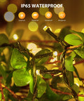 Close-up of Two Pack 92Ft 240 LED Solar String Lights Outdoor Waterproof illuminated on a green plant, highlighting IP65 weatherproof feature.