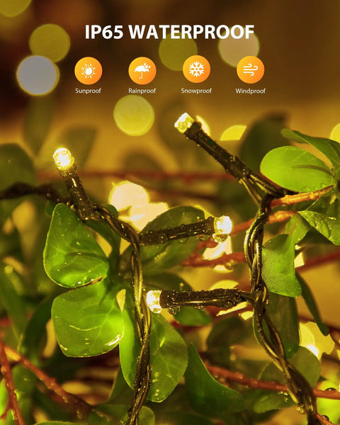 Close-up of Two Pack 92Ft 240 LED Solar String Lights Outdoor Waterproof illuminated on a green plant, highlighting IP65 weatherproof feature.