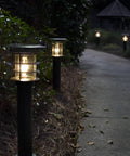 Solar Pathway Light With Stainless Steel Bollard, Waterproof Outdoor Landscape LED Lamp illuminating garden walkway.