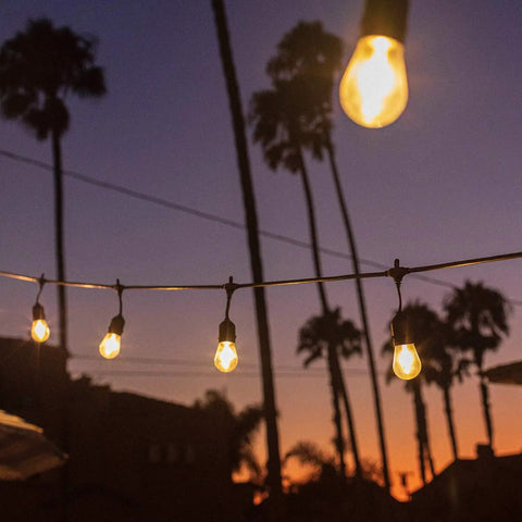 Vintage Clear Glass Edison Bulbs With Warm Filament 11W E26 Base 2200K Warm White Style Replacement Bulbs For Outdoor Patio String Lights Waterproof And Rust Resistant 20 Pack glowing against a sunset backdrop
