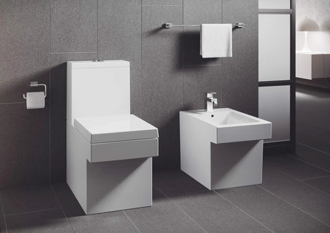 Essentials Cube Toilet Paper Holder In StarLight Chrome Sleek Metal Wall Mount With Concealed Fastening 1 Roll Capacity Modern Bathroom Accessory That Stands Up To Tarnish And Scratches