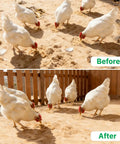 Before and after cleaning with 2 Pack Chicken Poop Scoopers For Coop Cleanup, Dual Mesh Shovel Set With 3.8mm And 5mm Holes