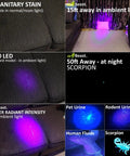 Powerhouse 100 LED UV Black Light Flashlight illuminating stains and pet urine, demonstrating commercial and domestic use effectiveness.