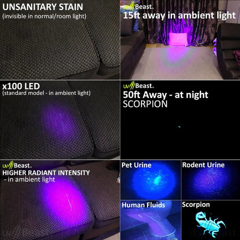 Powerhouse 100 LED UV Black Light Flashlight illuminating stains and pet urine, demonstrating commercial and domestic use effectiveness.