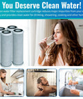 Four Pack Radial Flow Carbon Water Filter Cartridges For Whole House Replacement 0.5 Micron 10 Inch By 2.5 Inch in use