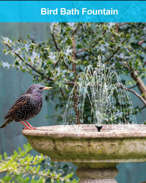Sun Powered Solar Fountain Kit For Bird Bath And Backyard Water Feature with bird and stone fountain.