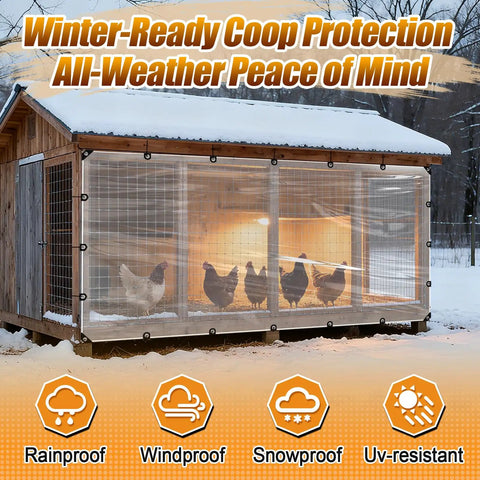 Chicken coop using 6.6x10ft Anti-Tear Heavy-Duty Clear Tarp Waterproof For Patio Winterizing with grommets and snow protection.