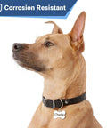 Dog wearing Stainless Steel Pet ID Tags With Custom Engraving On Both Sides Durable Dog And Cat Tags In Bone Round Heart And Bowtie Shapes