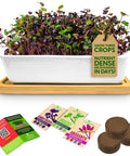 Ceramic Microgreens Growing Kit For Kitchen Garden With 3 Crop Seed Mix Including Organic USDA Red Amaranth, Purple Rambo Radish And Broccoli Microgreens, Includes Planter, Bamboo Tray, Soil, Nutrients, And No Mess Easy Care Tips