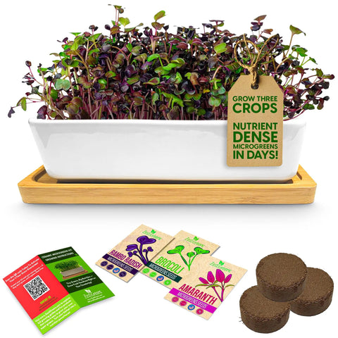 Ceramic Microgreens Growing Kit For Kitchen Garden With 3 Crop Seed Mix Including Organic USDA Red Amaranth, Purple Rambo Radish And Broccoli Microgreens, Includes Planter, Bamboo Tray, Soil, Nutrients, And No Mess Easy Care Tips