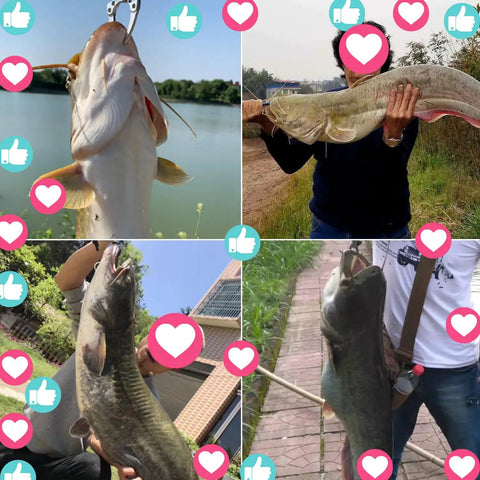 Anglers holding caught catfish with Catfish Float Rig Set With Rattles For Catfishing Tackle Easy Bank Fishing Rig With Circle Hooks