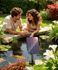 Solar Pond Aerator Low Noise Air Pump 2W IP64 Waterproof in garden pond with aquatic plants and koi fish, two people observing.