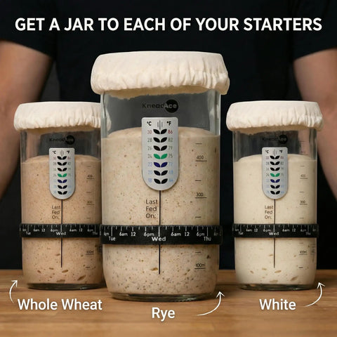 Three jars with sourdough starters labeled whole wheat, rye, and white, featuring date-marked bands and cloth covers.