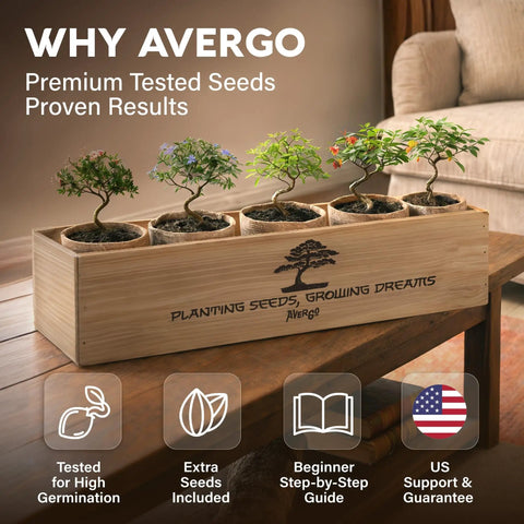 Beginner Bonsai Tree Kit With 5 Unique Japanese Bonsai Trees displayed on wooden planter indoors