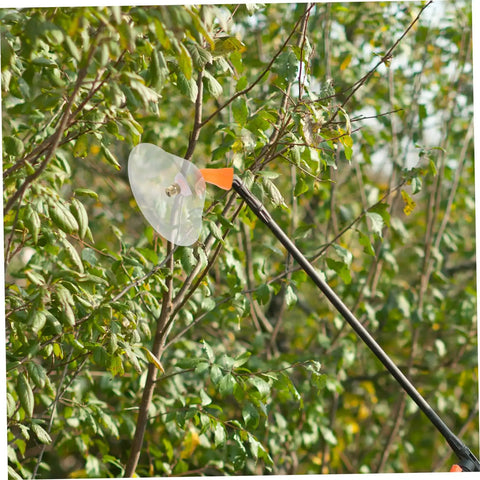 Windproof Sprayer Nozzles Drift Guard Two Pack For Garden Use Translucent Cone Covers visible among garden foliage