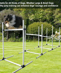 Dog Agility Jump Training Kit With Four Adjustable Hurdles And Storage Bag used by dogs in outdoor obstacle course