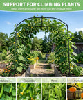 Ultra Tall Garden Arch Trellis For Climbing Plants 87 Inch Metal Plant Support Archway Perfect For Vines Grapes Cucumbers Flowers And Veggies Outdoor