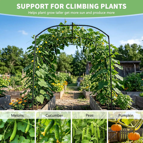 Ultra Tall Garden Arch Trellis For Climbing Plants 87 Inch Metal Plant Support Archway Perfect For Vines Grapes Cucumbers Flowers And Veggies Outdoor