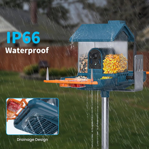 Outdoor Bird Feeder Camera Bird Bath Dual Lens 2K HD Smart Feeder Solar Powered AI Bird Identification Instant Alerts IP66 Weatherproof Outside Bird Watching Great Backyard Wildlife Observation