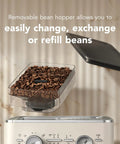 Semi Automatic Espresso Machine With Built In Burr Grinder And Smart Dosing Tech For Smooth One Or Two Shot Pulls Sturdy Metal Body In Porcelain White showing removable bean hopper with coffee beans.