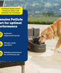 Golden retriever drinking from fountain with Drinkwell Replacement Pump, Quiet OEM Upgrade With Power Adapter outdoor setup.