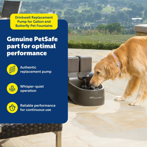 Golden retriever drinking from fountain with Drinkwell Replacement Pump, Quiet OEM Upgrade With Power Adapter outdoor setup.