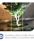 LED 12V Landscape Accent Light With Adjustable Beam Angle And Built In Dimming 50 To 1300 Lumens 3000K Warm White Bronze Finish Medium Size Integrated LED illuminating tree in warm white.