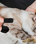 Using 100 Pack Black Silicone Finger Cots And Protective Toppers For Manicures And Massage Sessions on a cat during grooming.