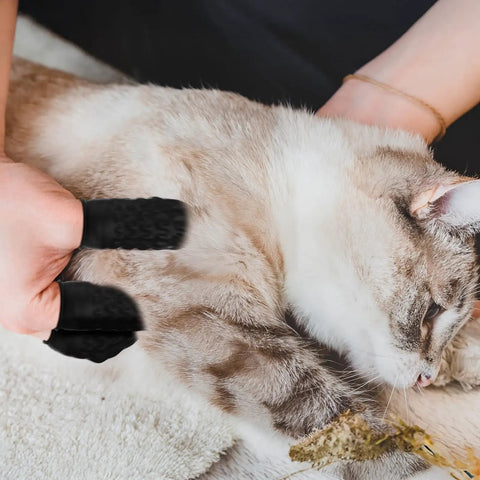 Using 100 Pack Black Silicone Finger Cots And Protective Toppers For Manicures And Massage Sessions on a cat during grooming.